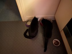 PXL_20250117_065510490.jpg