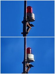 Collage_20241229_100429.jpg