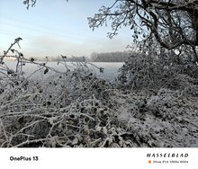 IMG20250117094014.jpg