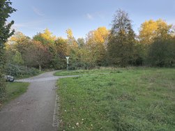 20241026_173310.jpg