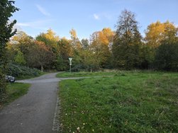 20241026_173258.jpg