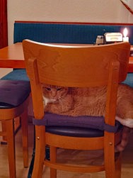 IMG_20250117_192626.jpg