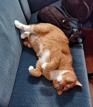 IMG_20250117_194017.jpg