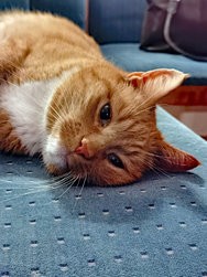 IMG_20250117_194126.jpg