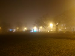 20250117_190712.JPG