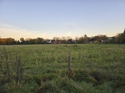 20241103_163900.jpg
