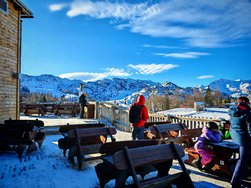 IMG_20250114_092950.jpg