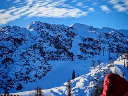 IMG_20250114_092957.jpg