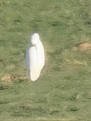 PXL_20250118_095711362~2.jpg