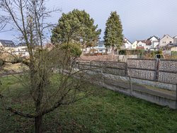 PXL_20250118_111731144.jpg