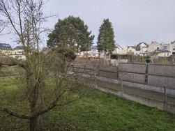 IMG_20241107_144550.jpg