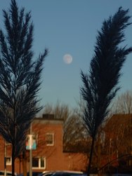 20250112_152435.JPG