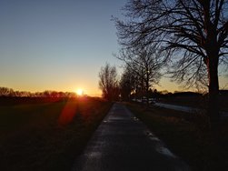 20250110_155610.JPG