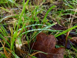 20250110_160047.JPG
