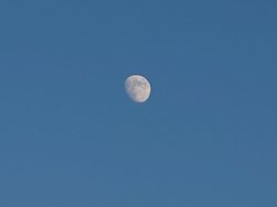 20250110_154730.JPG