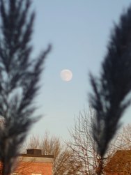 20250112_152618.JPG