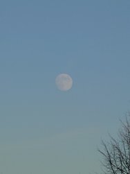20250112_151643.JPG