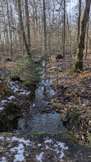 PXL_20250118_132600168.jpg