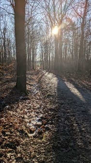 PXL_20250118_132809387.jpg