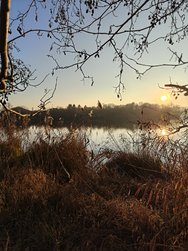 IMG20250118160224.jpg