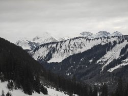 IMG20250112110625.jpg IMG20250112110625.jpg