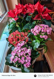 Gcam20241230_131054041.jpg
