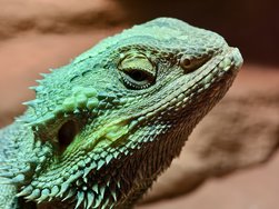 IMG_20250117_095917.jpg