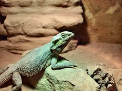IMG_20250117_095807.jpg