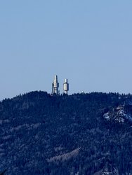 IMG_20250119_112449.jpg