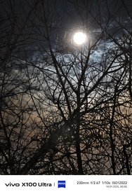 IMG_20250114_050544.jpg
