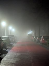 PXL_20250117_221646621.jpg