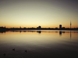 IMG_20250119_170235_1_1.jpeg