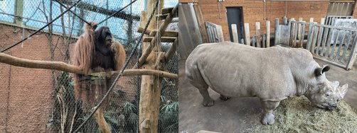 ZOO_Test.jpg