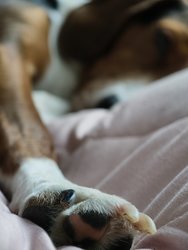 IMG_20250120_120926.jpg
