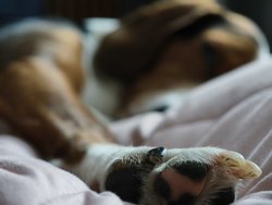 IMG_20250120_120955.jpg