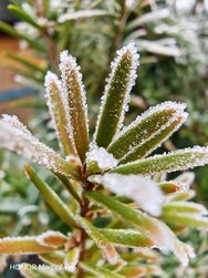 IMG_20250119_115404.jpg