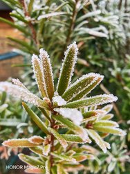 IMG_20250119_115402.jpg