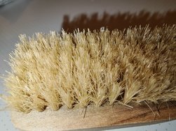 IMG_20250120_211402.jpg
