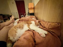 IMG_20250121_033141.jpg