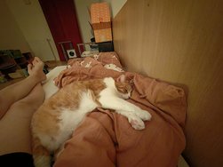 IMG_20250121_033045.jpg