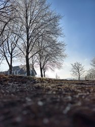 IMG_20241231_132051.jpg
