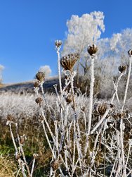 IMG_20241231_133138.jpg