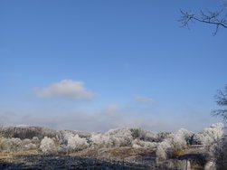 IMG_20241231_132254.jpg