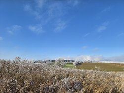 IMG_20241231_133554.jpg