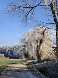 IMG_20241231_134344.jpg