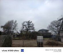IMG_20250121_104050.jpg