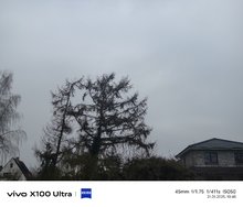 IMG_20250121_104052.jpg
