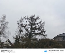 IMG_20250121_104129.jpg