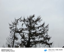 IMG_20250121_104132.jpg