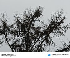 IMG_20250121_104142.jpg